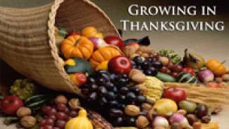 Growing in Thanksgiving (Philippians 4:4-9)