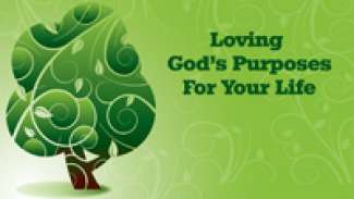 Loving God's Purposes for Your Life (Jeremiah 29:1-14)
