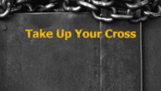 Take Up Your Cross (Luke 14:25-33)