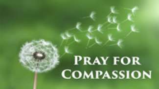 Pray for Compassion (Matthew 9)