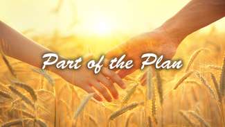 Part of the Plan (Ruth 4)