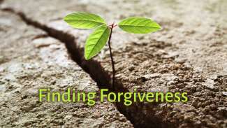 Finding Forgiveness (Luke 7)