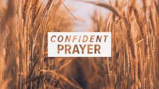 Confident Prayer (Luke 11, Luke 18)