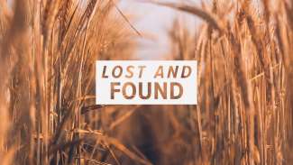 Lost and Found (Luke 15)