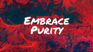 Embrace Purity (Exodus 20:14)