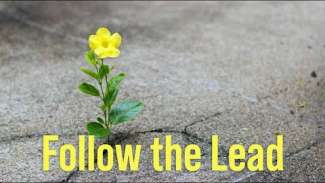 Follow the Lead | 1 Peter 3