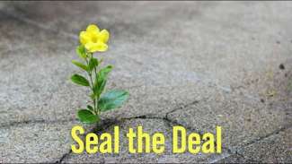 Seal the Deal | 2 Peter 1-2
