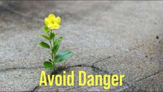 Avoid Danger | Jude 1