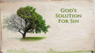 God's Solution for Sin