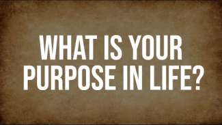 What is Your Purpose in Life? | Luke 18