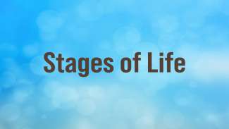 Stages of Life
