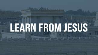 Learn from Jesus